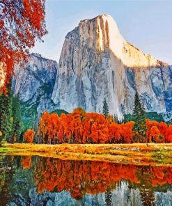 Yosemite National Park Paint By Number