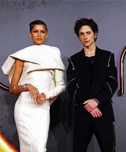 Zendaya And Timothe Chalamet Paint By Number