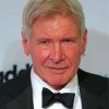 Actor Harrison Ford Celebrity Paint By Number