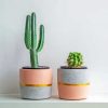 Aesthetic Cactus Pots Paint By Number