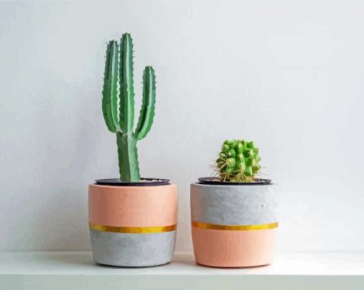 Aesthetic Cactus Pots Paint By Number