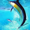 Aesthetic Sailfish Paint By Number