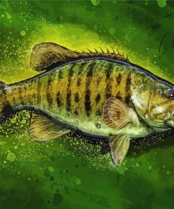 Aesthetic Smallmouth Paint By Number