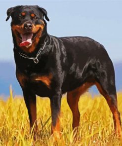 Aesthetic Black Rottweiler Paint By Number