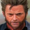 Aesthetic Wolverine Paint By Number