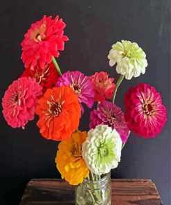 Aesthetic Zinnias Plants Paint By Number