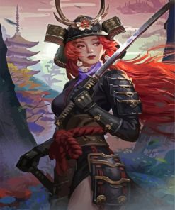 Beautiful Samurai Girl Paint By Number