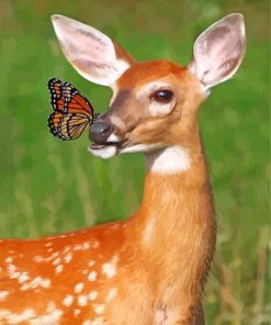 Monarch Butterfly Doe Paint By Number