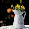 Grey Jug And Wild Yellow Daffodils Paint By Number