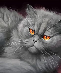 Grey Cat Paint By Number