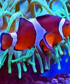 Clownfish Underwater Paint By Number