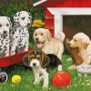 Puppies Party Paint By Number