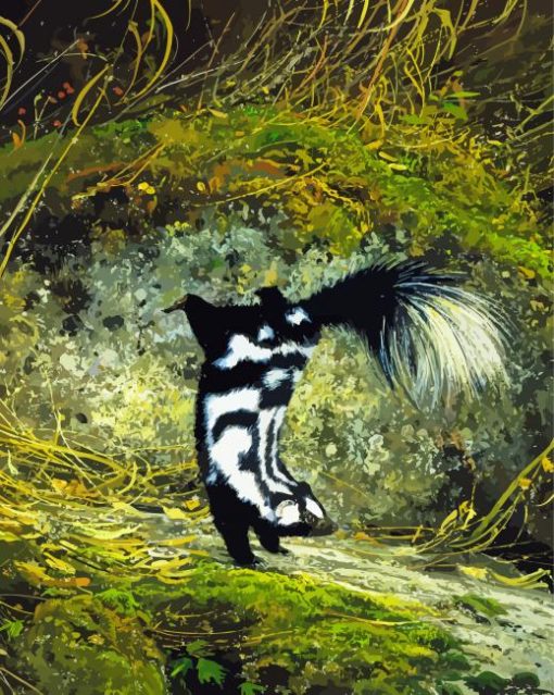 Skunk Paint By Number