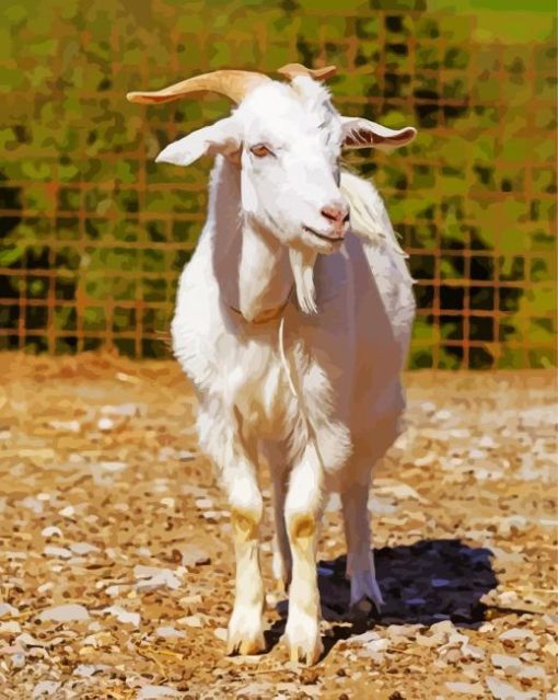 White Goat Paint By Number