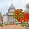 State Capitol Madison Paint By Number