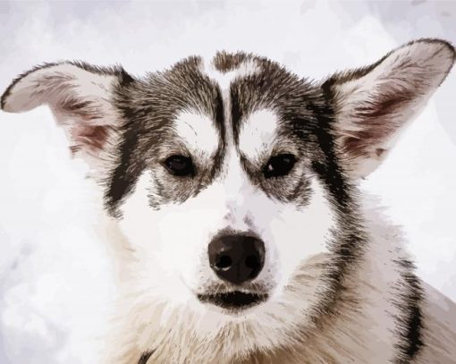 Aesthetic Alaskan Husky Paint By Number