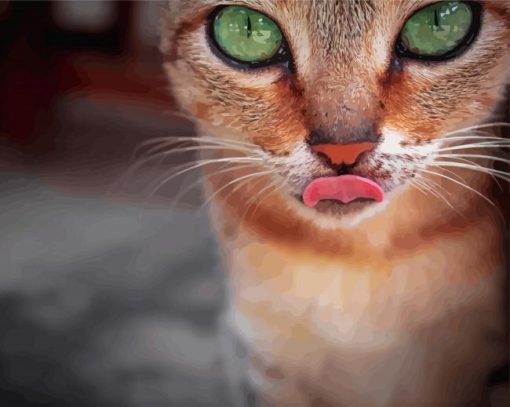 Abyssinian Cat Paint By Number