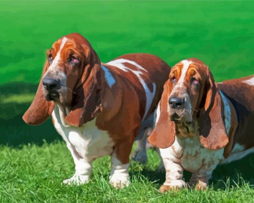 Adorable Basset Hounds Paint By Number