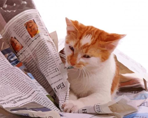 Adorable Cat Reading Newspaper Paint By Number