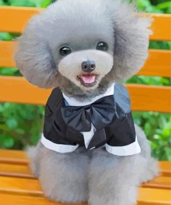 Adorable Dog With Suit Paint By Number