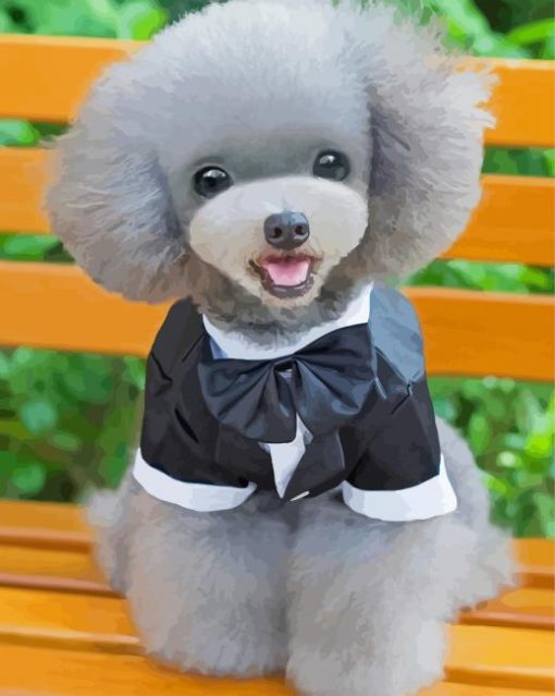 Adorable Dog With Suit Paint By Number