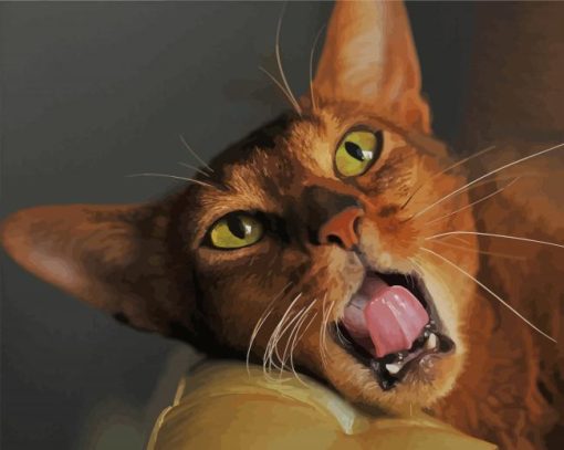 Aesthetic Abyssinian Cat Paint By Number