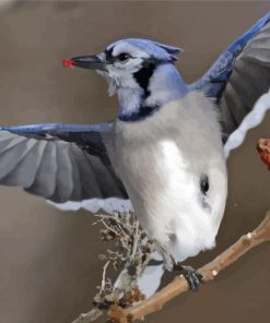 Aesthetic Blue Jays Paint By Number