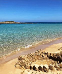 Aesthetic Fig Tree Bay Beach Paint By Number