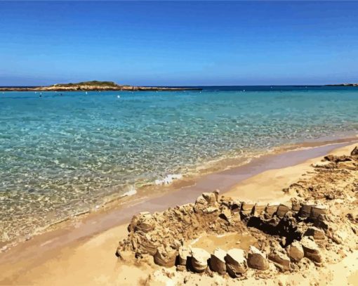 Aesthetic Fig Tree Bay Beach Paint By Number