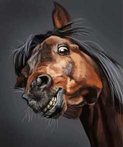 Aesthetic Funny Horse Paint By Number