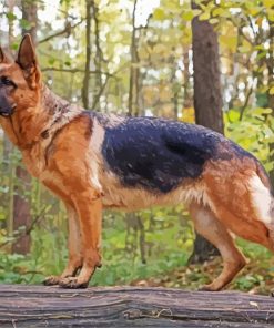 Aesthetic German Shepherd Paint By Number