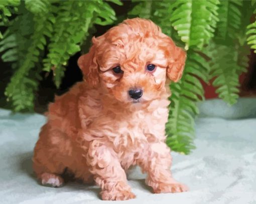 Adorable Maltipoo Puppy Paint By Number