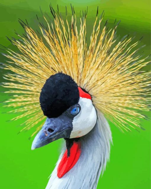 Aesthetic Mohican Bird Paint By Number