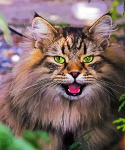 Aesthetic Norwegian Forest Cat Paint By Number