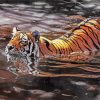 Aesthetic Realistic Tiger Animal In Water Paint By Number