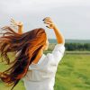 Aesthetic Prairie Woman In The Wind Paint By Number