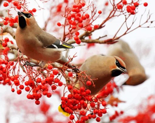 Aesthetic Birds And Red Berries Paint By Number