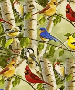 Aesthetic Birds On Birch Trees Paint By Number