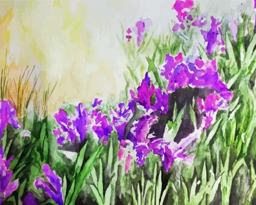 Iris Flowers Art Paint By Number