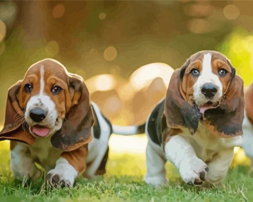 Basset Hounds Puppies Paint By Number