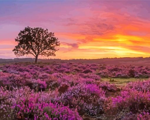 Beautiful New Forest National Park Paint By Number