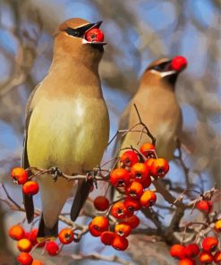 Red Berries And Birds Paint By Number