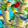 Birds On Birch Trees Paint By Number