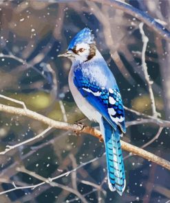 Blue Jays On Branch Paint By Number