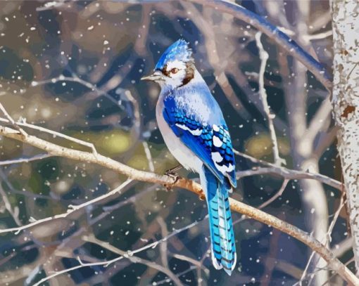 Blue Jays On Branch Paint By Number