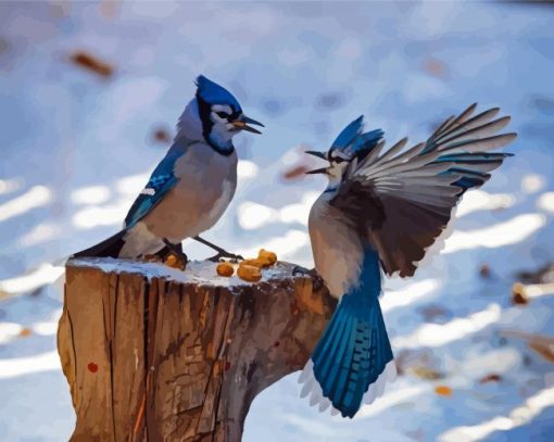 Blue Jays Birds Paint By Number