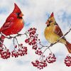 Cardinal Birds And Red Berries Paint By Number