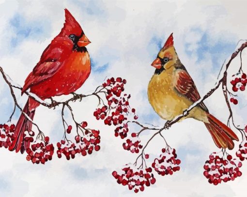 Cardinal Birds And Red Berries Paint By Number