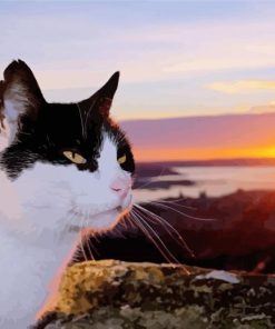 Tuxedo Cat And Sunset Paint By Number