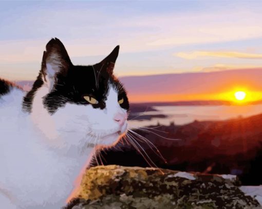 Tuxedo Cat And Sunset Paint By Number